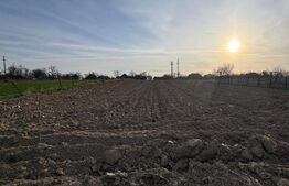 Casă Asuaju de Sus, 47 ari teren, investiție, necesită renovare