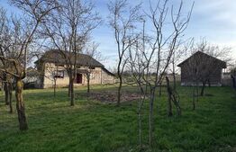Casă Asuaju de Sus, 47 ari teren, investiție, necesită renovare