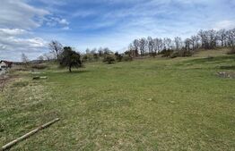 Teren intravilan 1.17ha cu panoramă superbă și PUZ aprobat – Baia Sprie