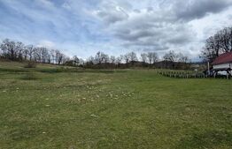 Teren 1.17 ha Baia Sprie, intravilan, PUZ aprobat, dublu acces