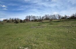 Teren intravilan 1.17ha cu panoramă superbă și PUZ aprobat – Baia Sprie