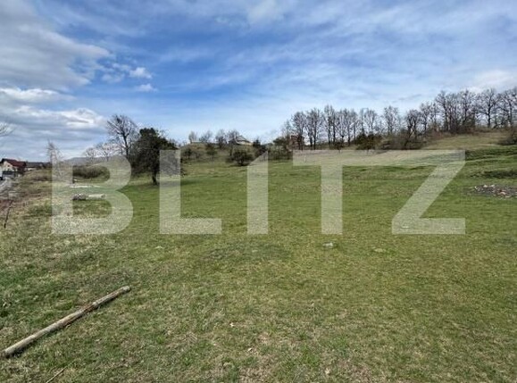 Teren de vânzare Baia Sprie - 191628TV | BLITZ Baia Mare | Poza1