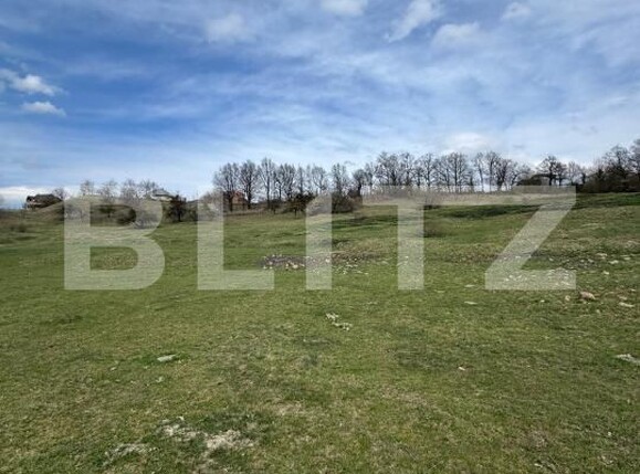 Teren de vânzare Baia Sprie - 191628TV | BLITZ Baia Mare | Poza2