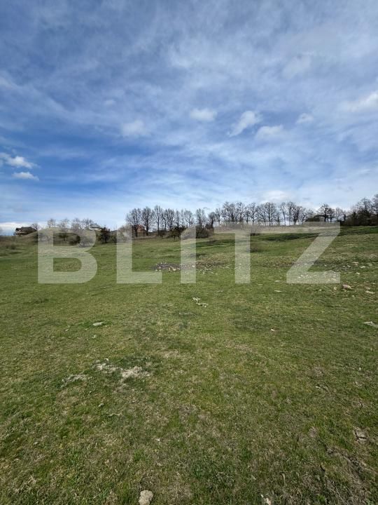 Teren de vânzare Baia Sprie - 191628TV | BLITZ Baia Mare | Poza2