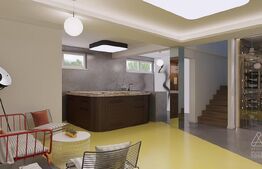 Vilă tip casă pasivă, 285 mp + 47 ari teren, Valea Roșie – Baia Mare