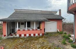 Casă P+M cu 2 corpuri, garaj și teren generos ~23 ari – Coltirea