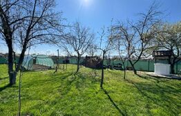 🏡 CASA INDIVIDUALA CU TEREN GENEROS– zonă liniștită, la 25 km de Baia Mare