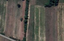 Teren de vanzare in Dumbravița, 90 de ari 