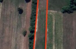 Teren de vanzare in Dumbravița, 90 de ari 