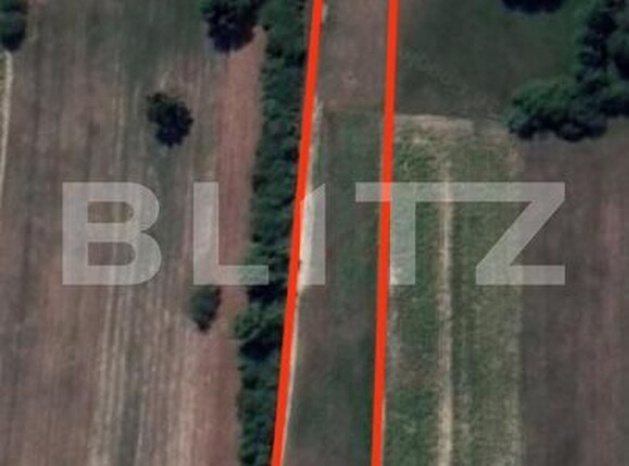 Teren de vânzare Dumbravita - 192316TV | BLITZ Baia Mare | Poza2