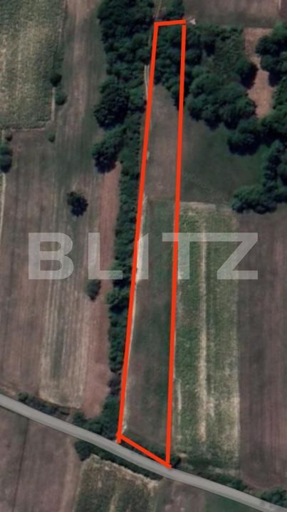 Teren de vânzare Dumbravita - 192316TV | BLITZ Baia Mare | Poza2