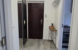 Apartament 2 camere, 44 mp, zona Victor Babes