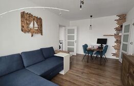 Apartament 2 camere, 44 mp, zona Victor Babes