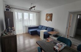 Apartament 2 camere, 44 mp, zona Victor Babes
