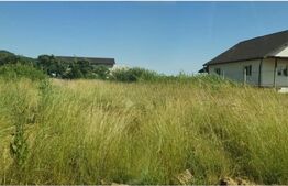 Teren pentru casa sau ca Investitie