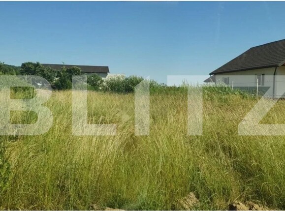 Teren de vânzare Cicarlau - 192430TV | BLITZ Baia Mare | Poza3