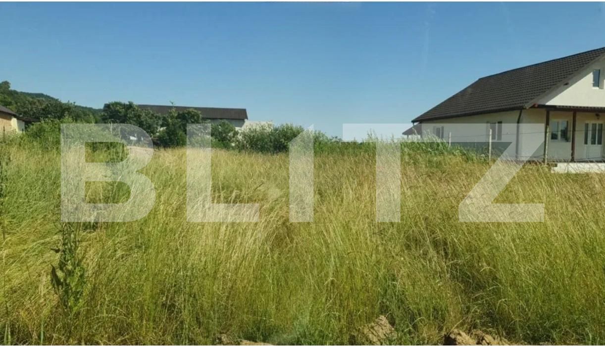 Teren de vânzare Cicarlau - 192430TV | BLITZ Baia Mare | Poza3