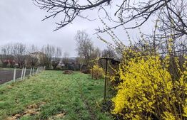 Casă spațioasă cu teren generos, aproape de centrul orașului Târgu Lăpuș 🏡