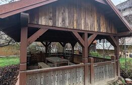 Casă spațioasă cu teren generos, aproape de centrul orașului Târgu Lăpuș 🏡