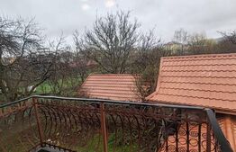 Casă spațioasă cu teren generos, aproape de centrul orașului Târgu Lăpuș 🏡