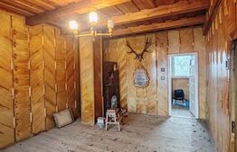 Casă spațioasă cu teren generos, aproape de centrul orașului Târgu Lăpuș 🏡