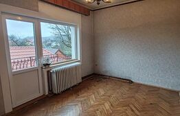 Casă spațioasă cu teren generos, aproape de centrul orașului Târgu Lăpuș 🏡