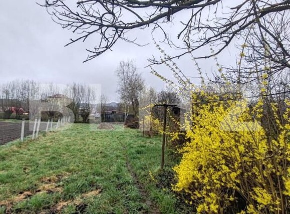 Casa de vânzare 4 camere Targu Lapus - 192497CV | BLITZ Baia Mare | Poza19