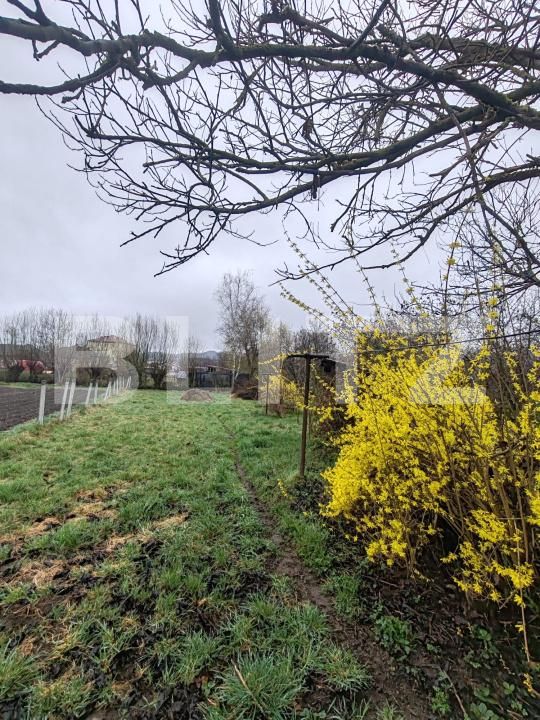 Casa de vânzare 4 camere Targu Lapus - 192497CV | BLITZ Baia Mare | Poza19