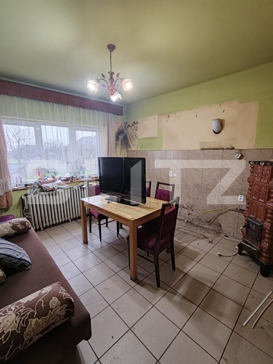 Casa de vânzare 4 camere Targu Lapus - 192497CV | BLITZ Baia Mare | Poza7