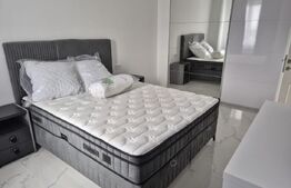 Apartament 2 camere, 40 mp, zona Central