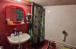 Casă cu suflet, 160 mp, zona Centrul Vechi