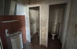 Hală 330 mp cu teren 10 ari, zonă Tanatorio