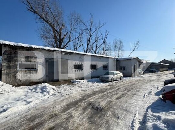 Spațiu industrial de vânzare Sud - 192865SVI | BLITZ Baia Mare | Poza1