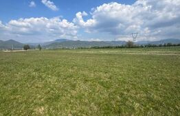 Teren cu panoramă, 6.5 ari, front 28 m, Dealul Grosului 