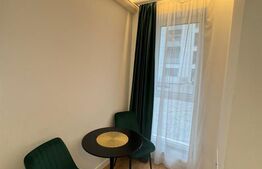 Garsonieră mobilată și utilată, parcare inclusă, 31 mp, zona Vasile Alecsandri