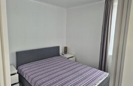 Apartament 2 camere, cu grădină și priveliște superbă, Baia Mare