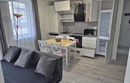 Apartament 2 camere, cu grădină și priveliște superbă, Baia Mare