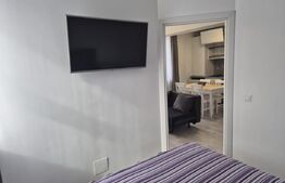 Apartament 2 camere, cu grădină și priveliște superbă, Baia Mare