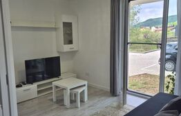 Apartament 2 camere, cu grădină și priveliște superbă, Baia Mare