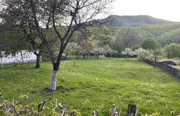 Teren constructie, 1590 mp, zona Firiza