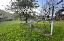 Teren constructie, 1590 mp, zona Firiza