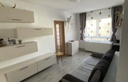 Apartament 40 mp, complet utilat, renovat – zona Bd. București