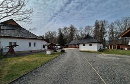 Pensiune venit constant garantat, 475 mp, zona Maramureșul Istoric 