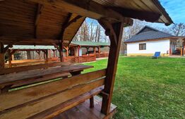 Pensiune venit constant garantat, 475 mp, zona Maramureșul Istoric 
