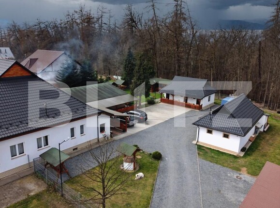 Casa de vânzare 9 camere Ocna Sugatag - 195181CV | BLITZ Baia Mare | Poza1