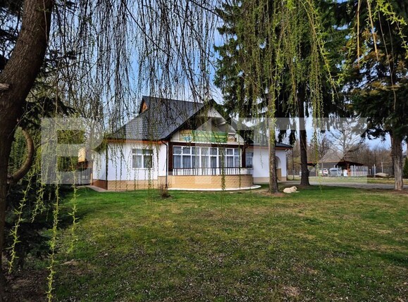 Casa de vânzare 9 camere Ocna Sugatag - 195181CV | BLITZ Baia Mare | Poza13