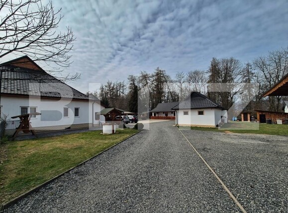 Casa de vânzare 9 camere Ocna Sugatag - 195181CV | BLITZ Baia Mare | Poza14