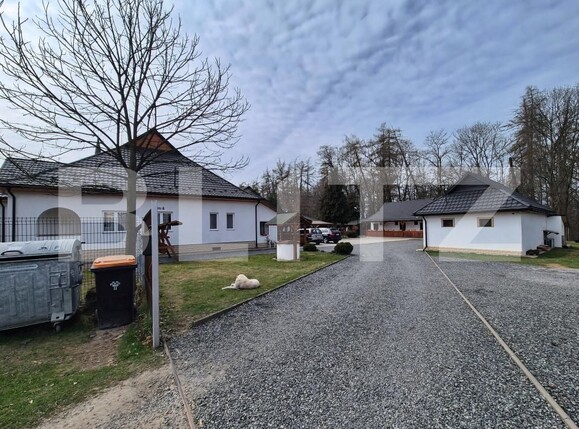 Casa de vânzare 9 camere Ocna Sugatag - 195181CV | BLITZ Baia Mare | Poza8