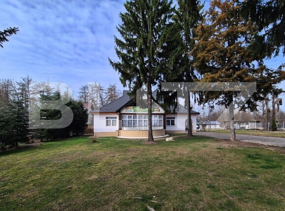 Casa de vânzare 9 camere Ocna Sugatag - 195181CV | BLITZ Baia Mare | Poza12