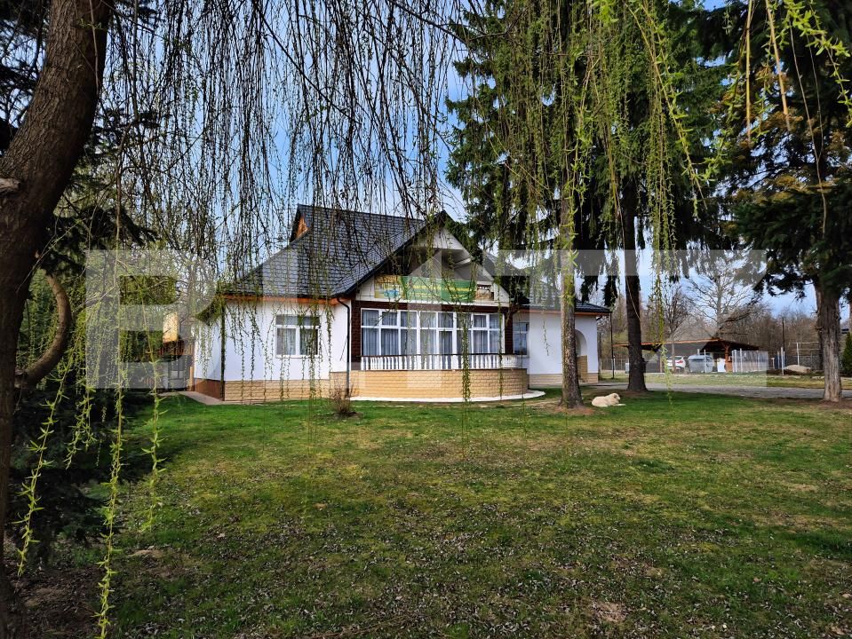 Casa de vânzare 9 camere Ocna Sugatag - 195181CV | BLITZ Baia Mare | Poza13